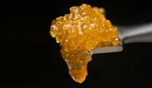 demystifying cannabis concentrates: a beginner’s guide to concentrates, liveresin